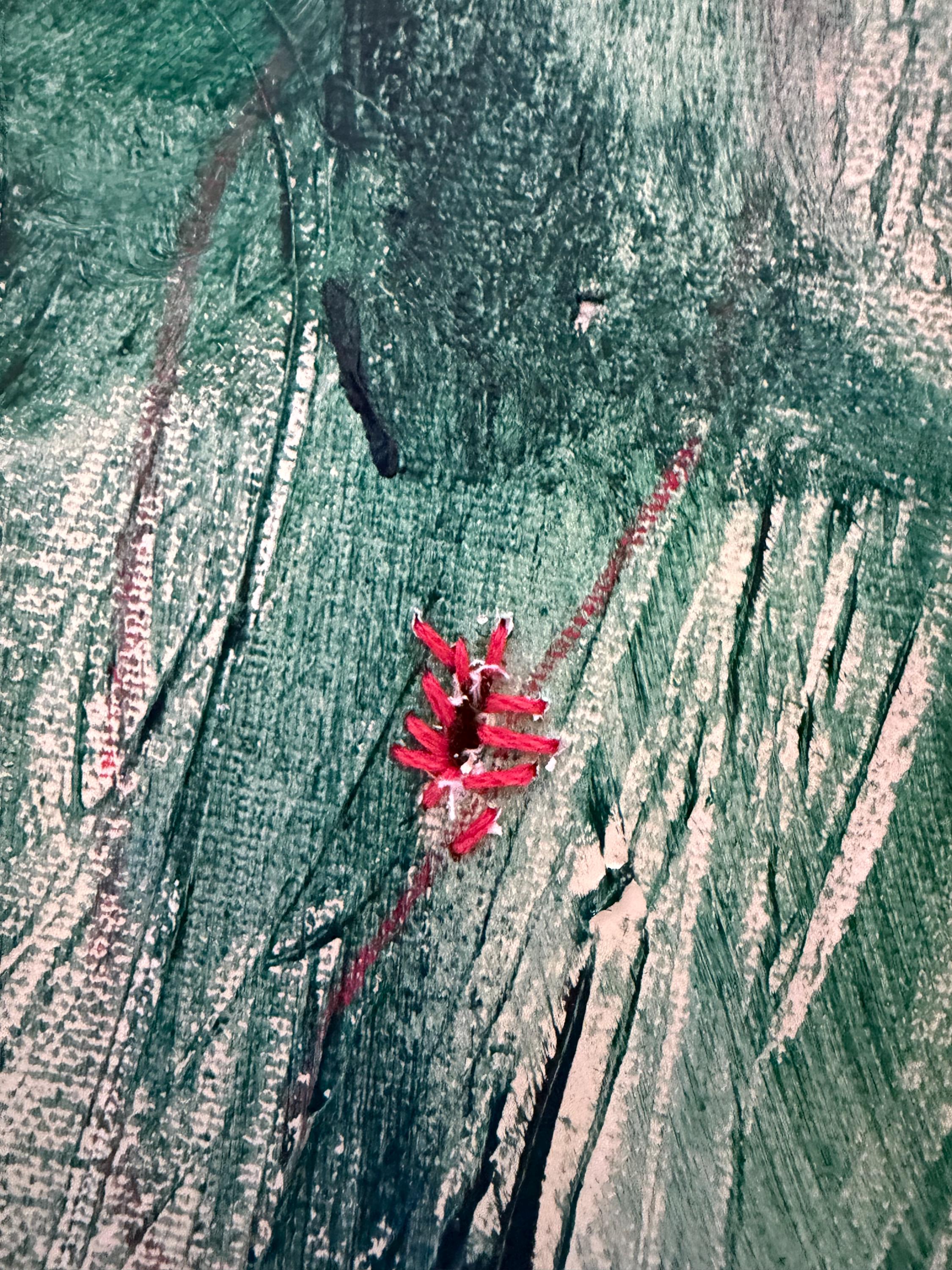 Imperfect Ruptures